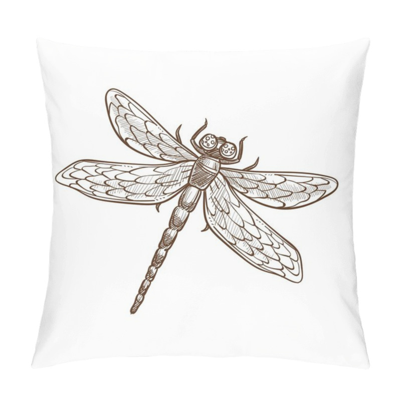 Personality  Dragonfly Fast-flying Long-bodied Predatory Insect With Two Pairs Of Large Transparent Wings Spread Out Sideways At Rest. Monochrome Vector Illustration Of Dragon-fly Isolated On White, Sketch Design Pillow Covers