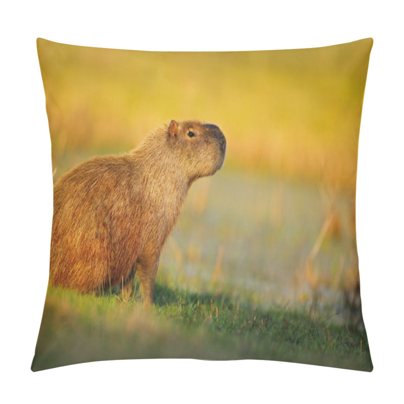 Personality  Biggest Mouse Capybara Pillow Covers