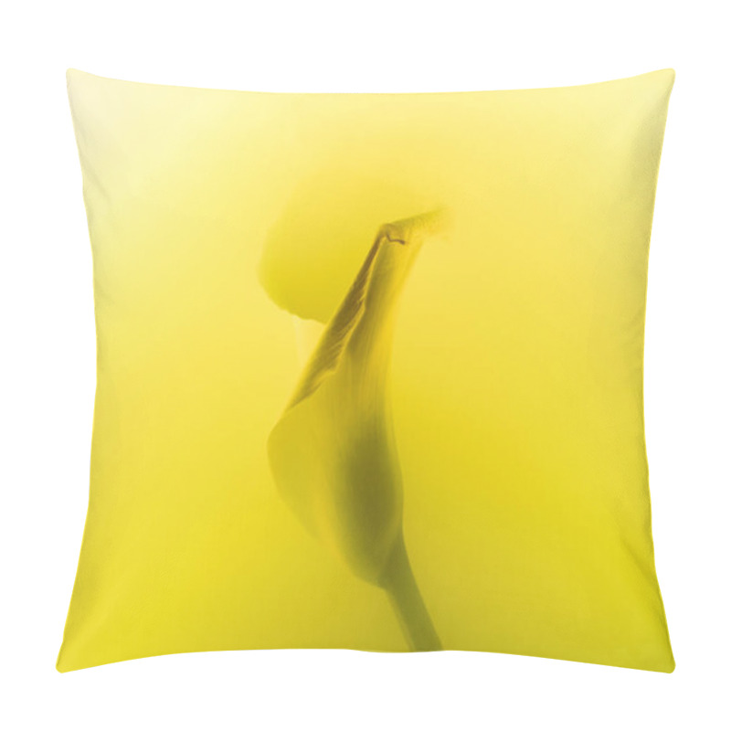 Personality  Close-up View Of Beautiful Tender Calla Lily Flower In Yellow Paint Pillow Covers