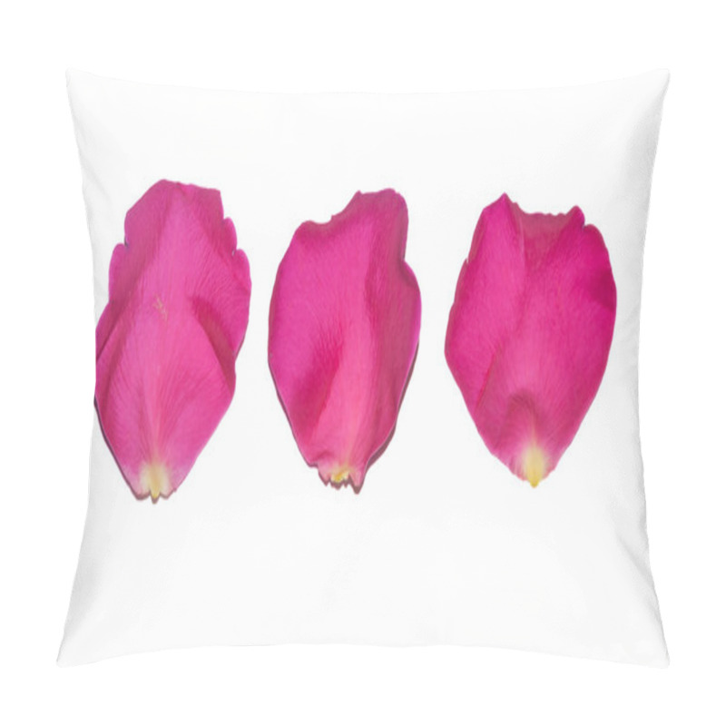 Personality  Rose Petals Isolated Pillow Covers