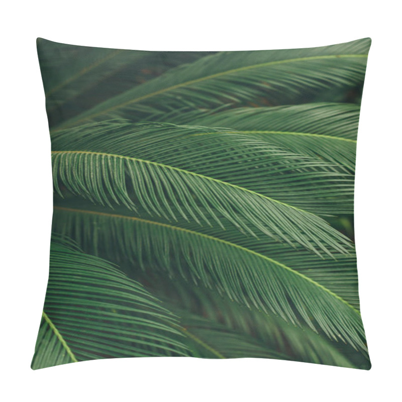 Personality  Green Palm Leaves Pillow Covers