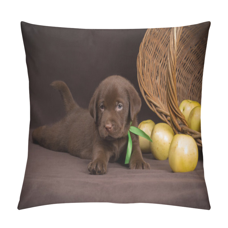 Personality  Chocolate Labrador Puppy Lying On A Brown Background Near Basket Of Apples And Looking At The Camera Pillow Covers