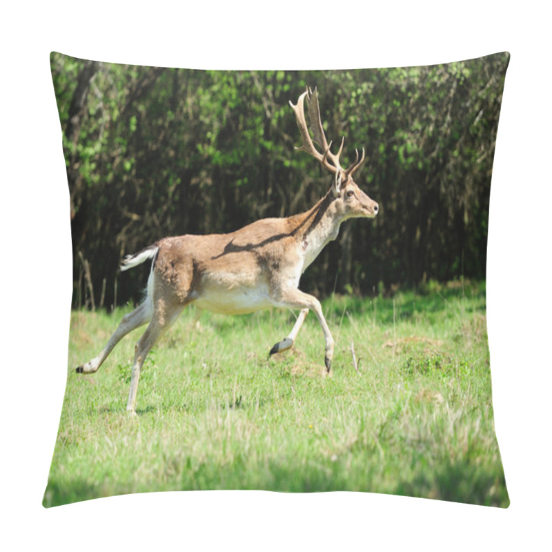 Personality  Jumping Roe Deer On A Meadow Pillow Covers