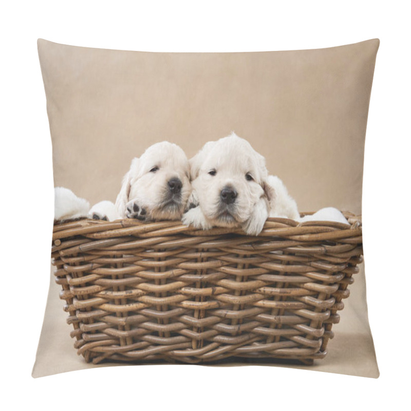 Personality  Puppies In A Basket On A Beige Background. Golden Retriever In The Studio. Cute Dog Pillow Covers