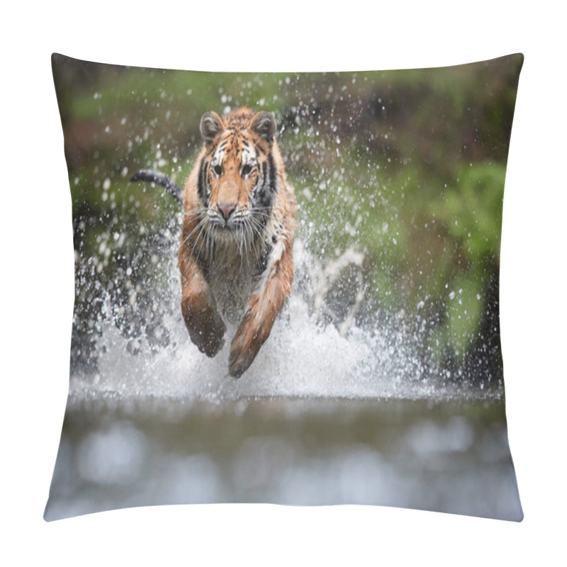 Personality  Siberian Tiger, Panthera Tigris Altaica, Low Angle Photo In Direct View, Running In The Water Directly At Camera With Water Splashing Around. Attacking Predator In Action. Tiger In Taiga Environment. Pillow Covers