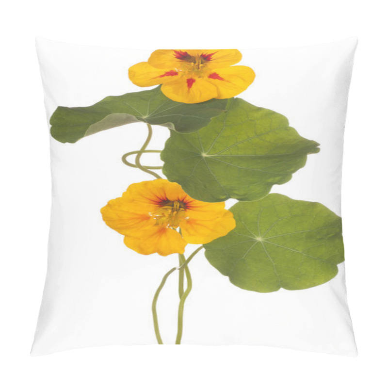 Personality  Flower Isolated On White Pillow Covers