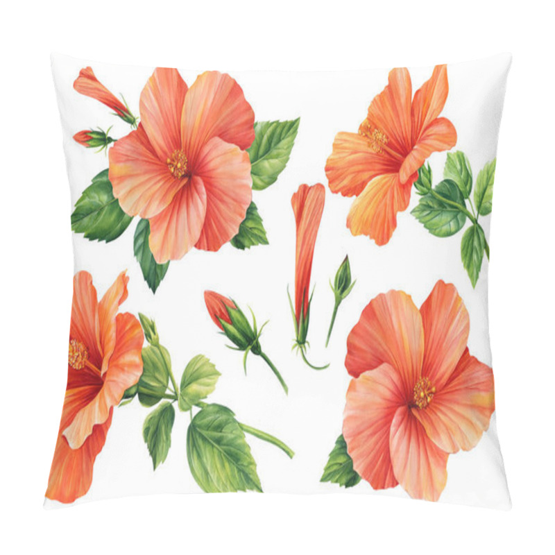 Personality  Hibiscus Flowers Set, Isolated White Background, Botanical Illustration, Tropical Flowers, Floral Elements Watercolor. High Quality Illustration Pillow Covers