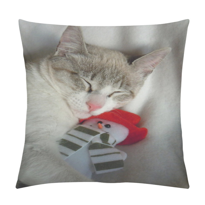 Personality  Young Cat Cuddling With Snowman Toy Pillow Covers