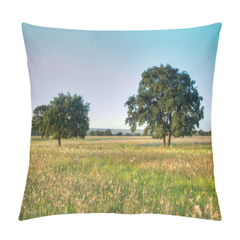 Personality  Old Oak Tree Pillow Covers