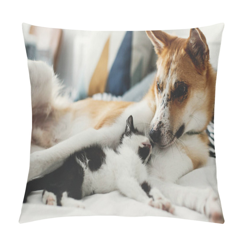 Personality  Cute Little Kitty Sleeping On Big Golden Dog On Bed With Pillows In Stylish Room. Adorable Black And White Kitten And Puppy With Funny Emotions Resting Together. Sweet Moments Pillow Covers