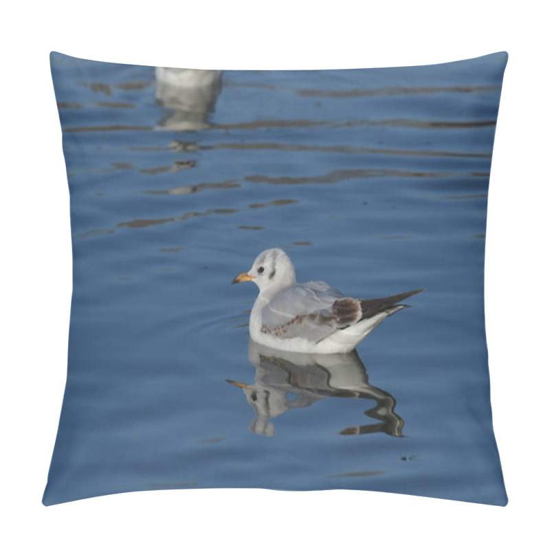 Personality  Black-headed Gull -  (Chroicocephalus Ridibundus)  Pillow Covers