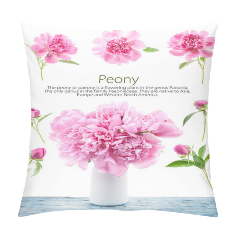 Personality  Peony Flowers In White Vase Isolated On White Pillow Covers