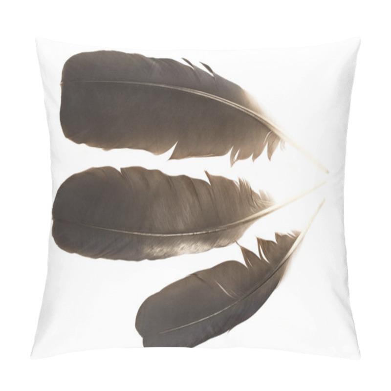 Personality  Raven Feathers Pillow Covers