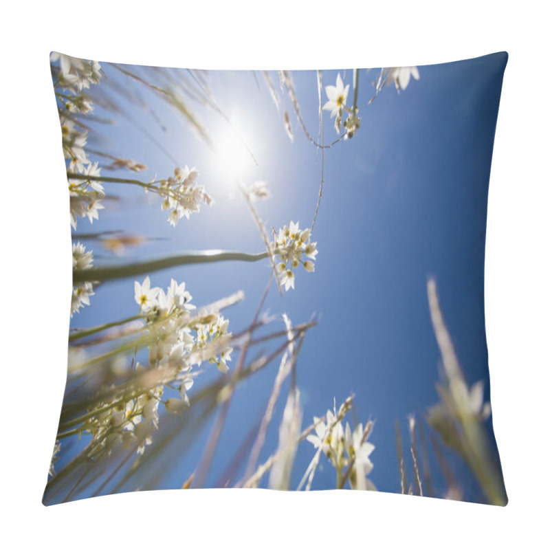 Personality  Low-angle View Of Delicate White Wildflowers Reaching Toward The Bright Sun Against A Deep Blue Sky, Capturing A Vibrant Summer Scene. Pillow Covers