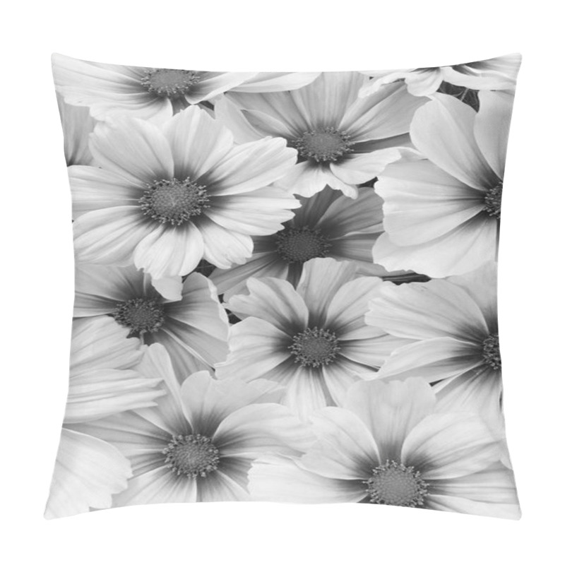 Personality  Blooming Cosmos Flowers In Black And White Pillow Covers