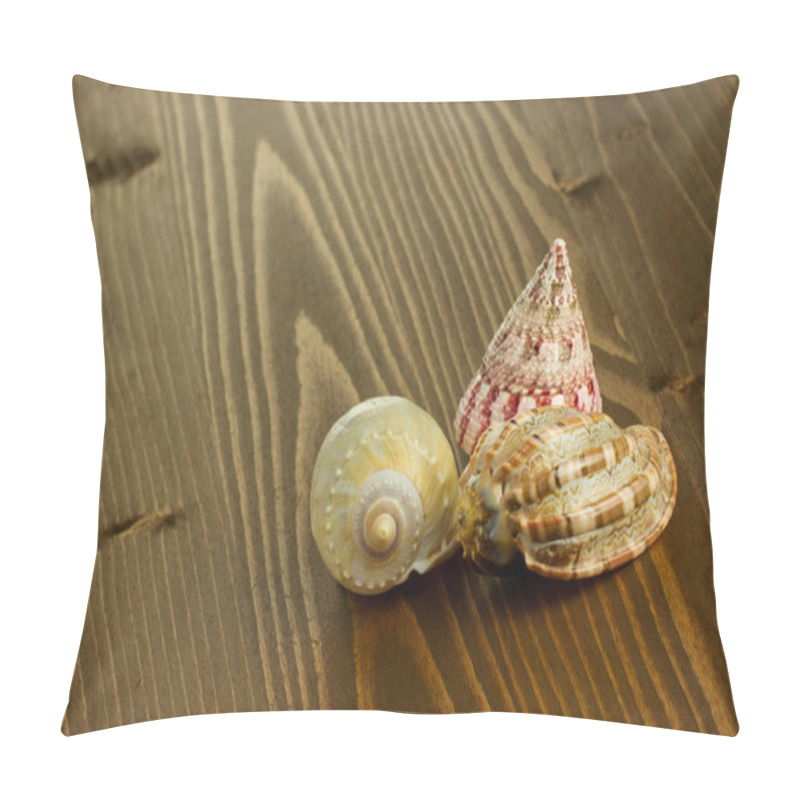 Personality  Sea Shells Pillow Covers