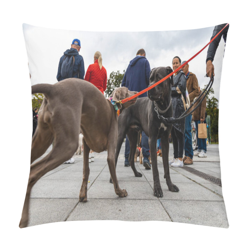 Personality  Wroclaw, Poland - September 2022: Dog Parade At City Center With Hundreds Of Barking And Smiling Dogs Pillow Covers