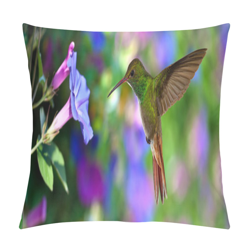 Personality  Hummingbird (archilochus Colubris) In Flight Over Purple Flowers Pillow Covers