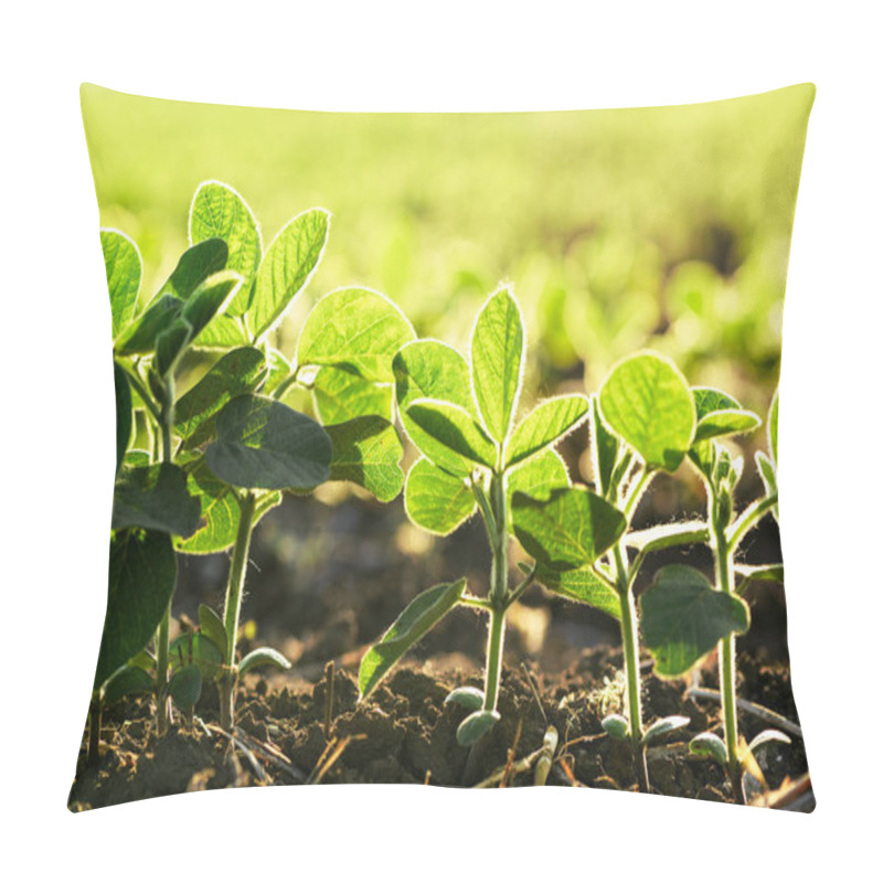 Personality  Soybean Cultivated Field Pillow Covers