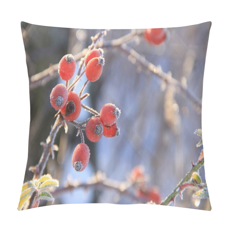 Personality  Snow-covered Ukrainian Fields And Gardens. Backgrounds Of Winter Nature For Phones And Tablets. Seasons Of The Year. Pillow Covers