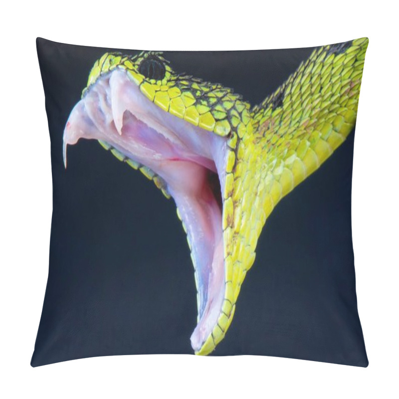 Personality  Great Lakes Viper (Atheris Nitschei) Pillow Covers