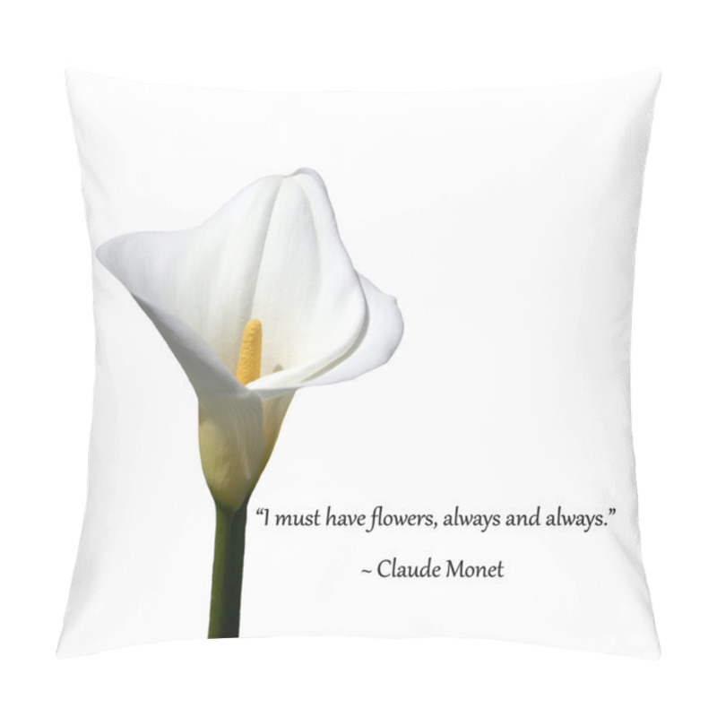 Personality  White Calla Lilies, Isolated On White Pillow Covers