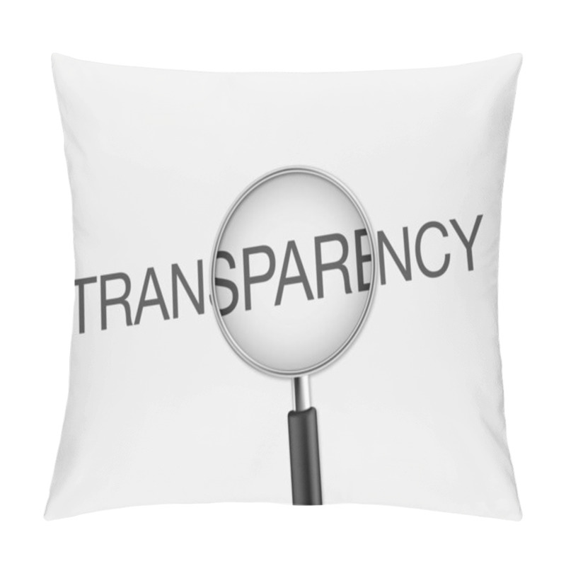 Personality  Paper Work And Magnifying Glass With Word Transparency Pillow Covers