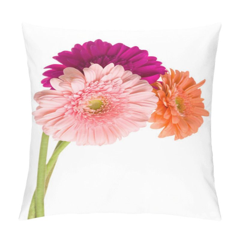 Personality  Bunch Of Gerberas Pillow Covers