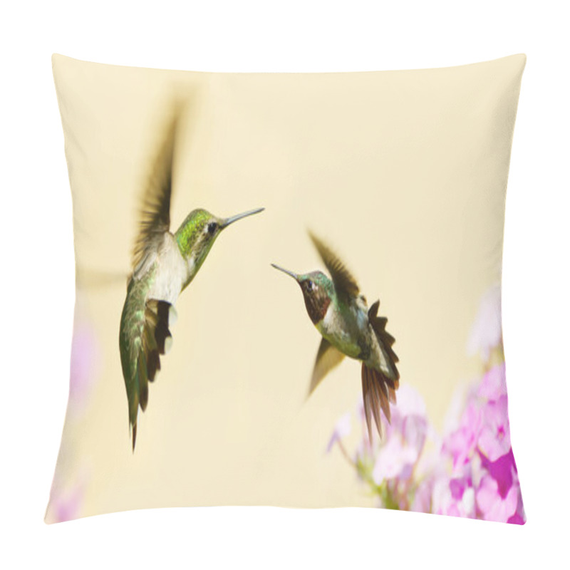 Personality  Hummingbirds Fighting. Pillow Covers