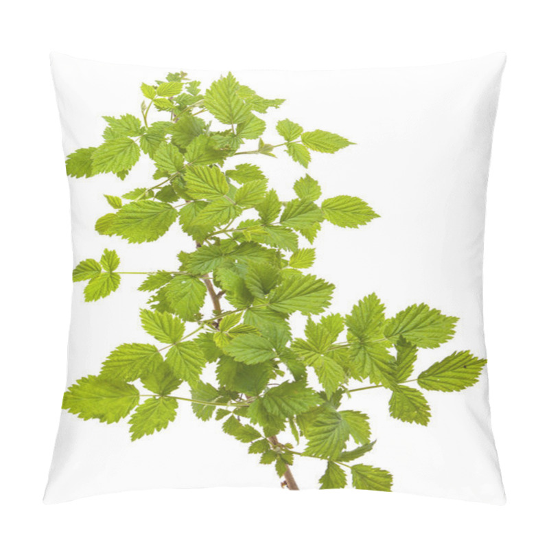 Personality  Raspberry Leaves Isolated On White Background Pillow Covers