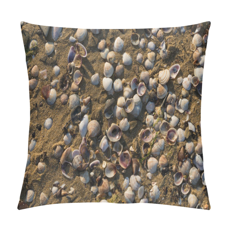 Personality  Shells Of Deceased Bivalves. The Coastline Of The Black Sea Is Abundantly Covered With Shells. Pillow Covers