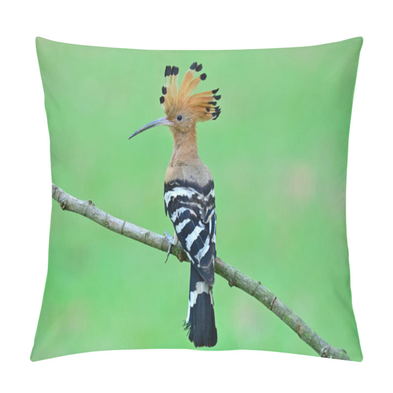 Personality  Eurasian Hoopoe (Upupa Epops) Beautiful Spike Head Bird Perching On Thin Twig Showing Its Feathers Over Fine Green Lawn, Amazed Wild Animal Pillow Covers