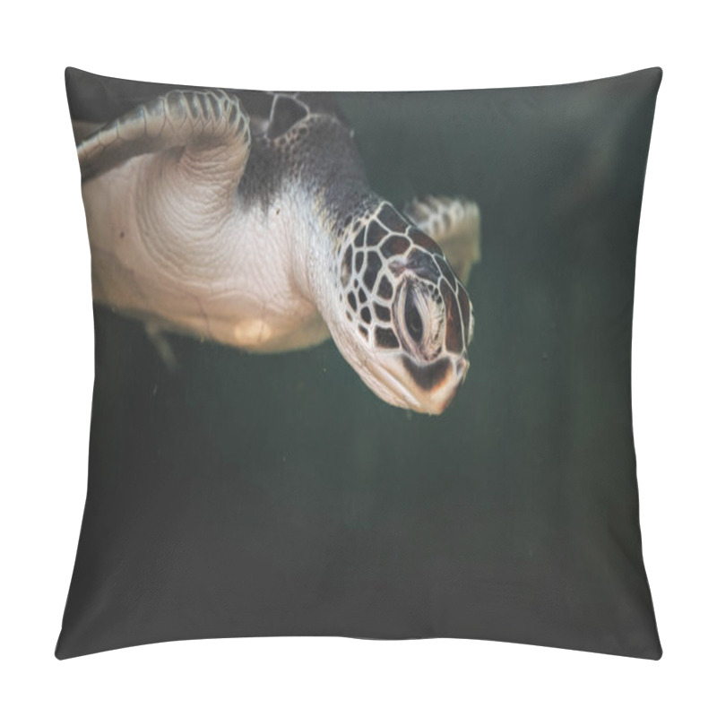 Personality  In A Vibrant Underwater Setting, A Green Sea Turtle Glides Effortlessly Through The Water, Revealing Its Beautiful Patterned Shell And Calm Expression While Exploring Its Environment. Pillow Covers