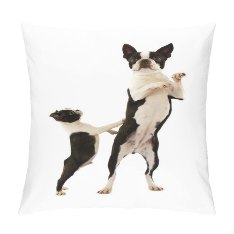 Personality  BOSTON TERRIER DOG Natural Background Pillow Covers