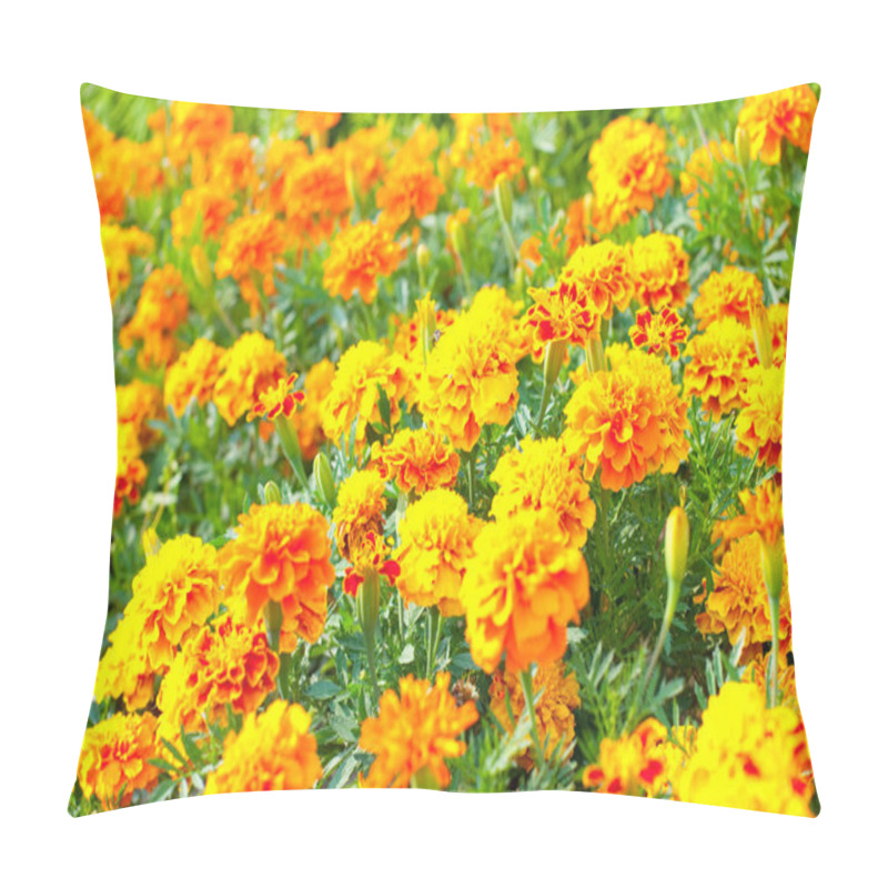 Personality  French Marigold Pillow Covers