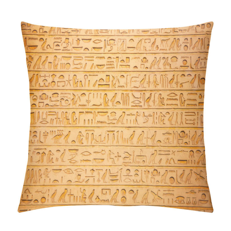 Personality  Hieroglyphs On The Wall Pillow Covers