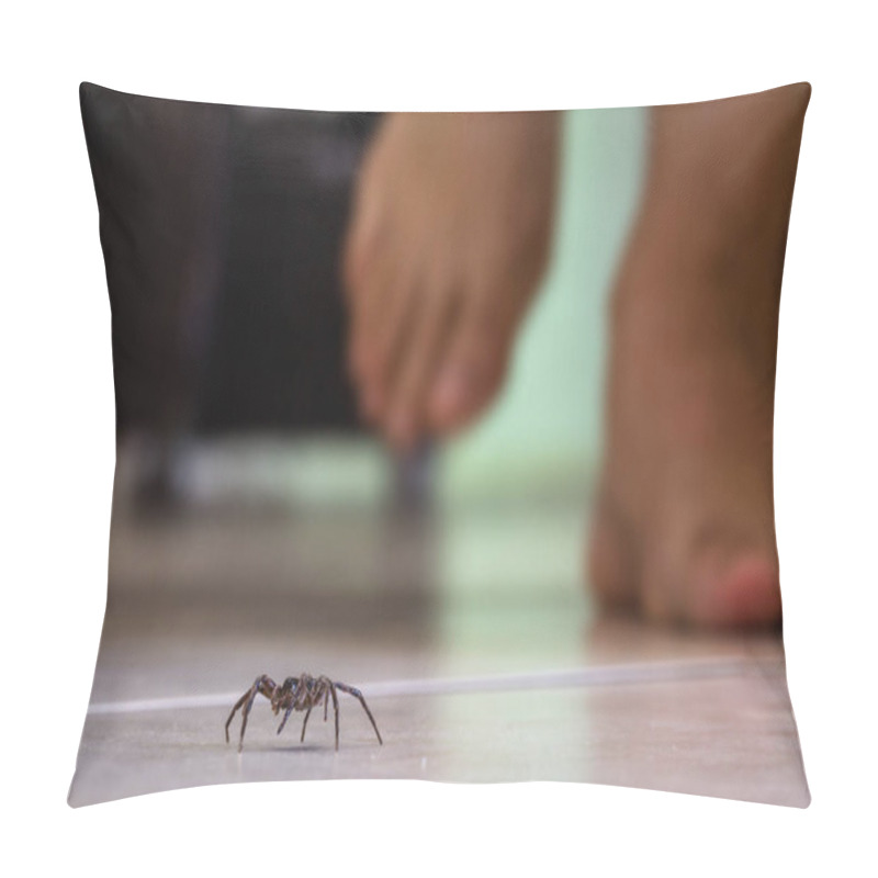 Personality  Common House Spider On A Smooth Tile Floor Seen From Ground Level In A Floor In A Residential Home Pillow Covers