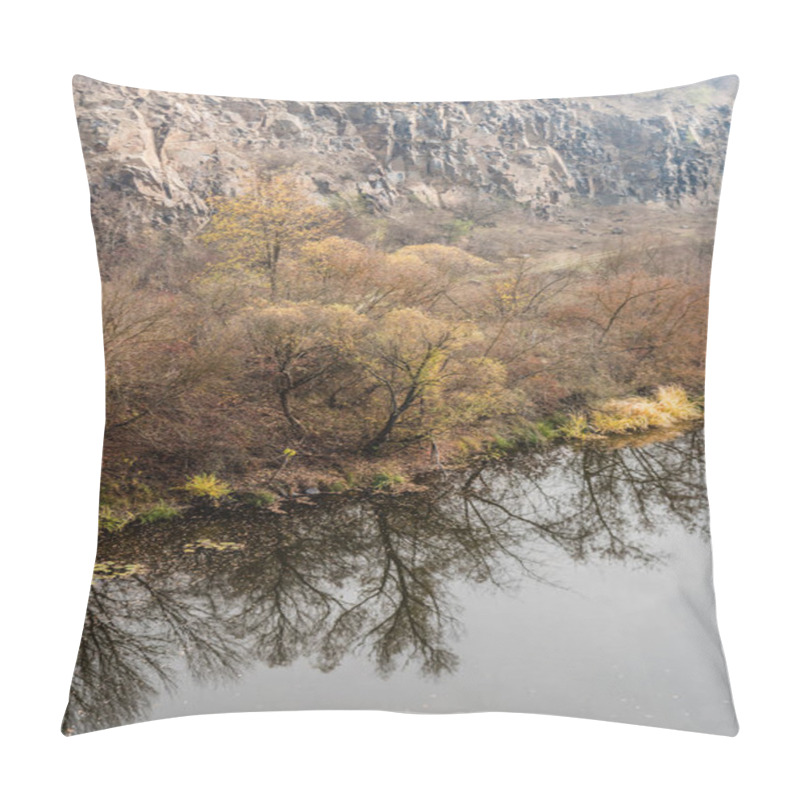 Personality  Reflection Of Trees In Lake With Clear Water  Pillow Covers