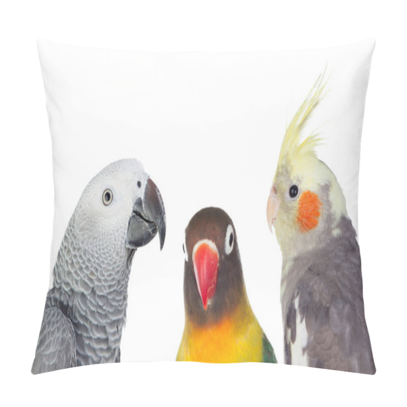 Personality  Three Tropical Birds  Pillow Covers