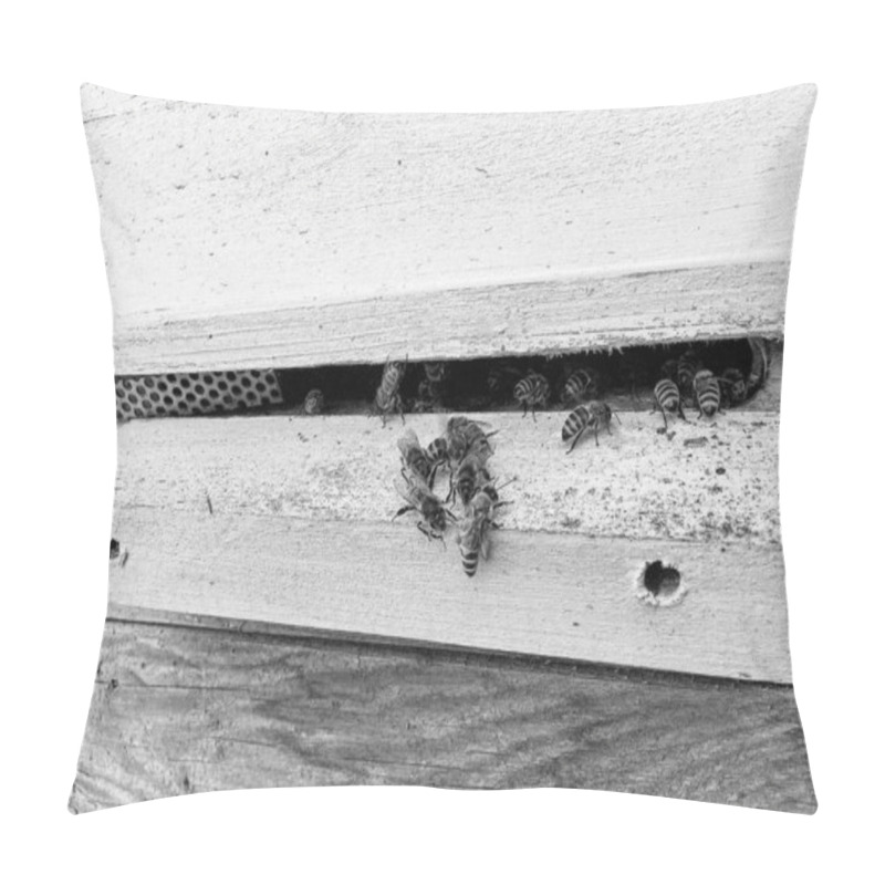 Personality  Winged Bee Slowly Flies To Beehive Collect Nectar On Private Apiary From Live Flowers, Apiary Consisting Of Village Beehive, Floret Dust On Bee Legs, Apiary It Beehive For Bees At Background Closeup Pillow Covers