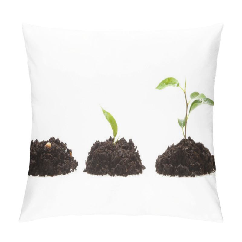 Personality  Process Of Growing Plant Pillow Covers