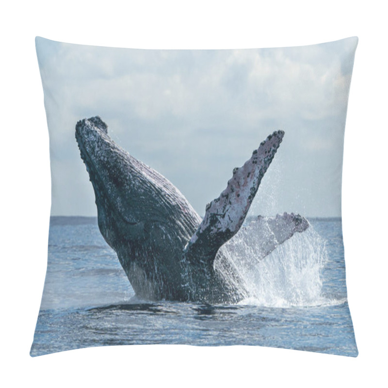 Personality  Humpback Whale Breaching On Pacific Ocean Background In Cabo San Lucas Mexico Pacific Ocean Pillow Covers