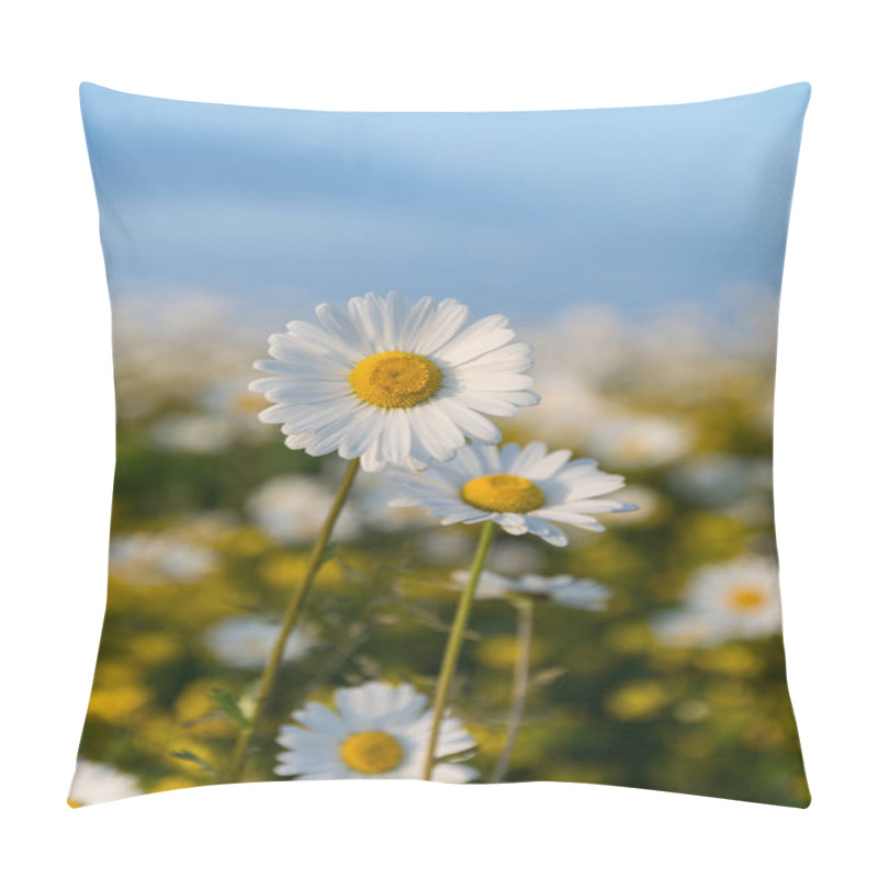 Personality  A Field Of Wild Dasies Taken In The Summer In Ireland Pillow Covers