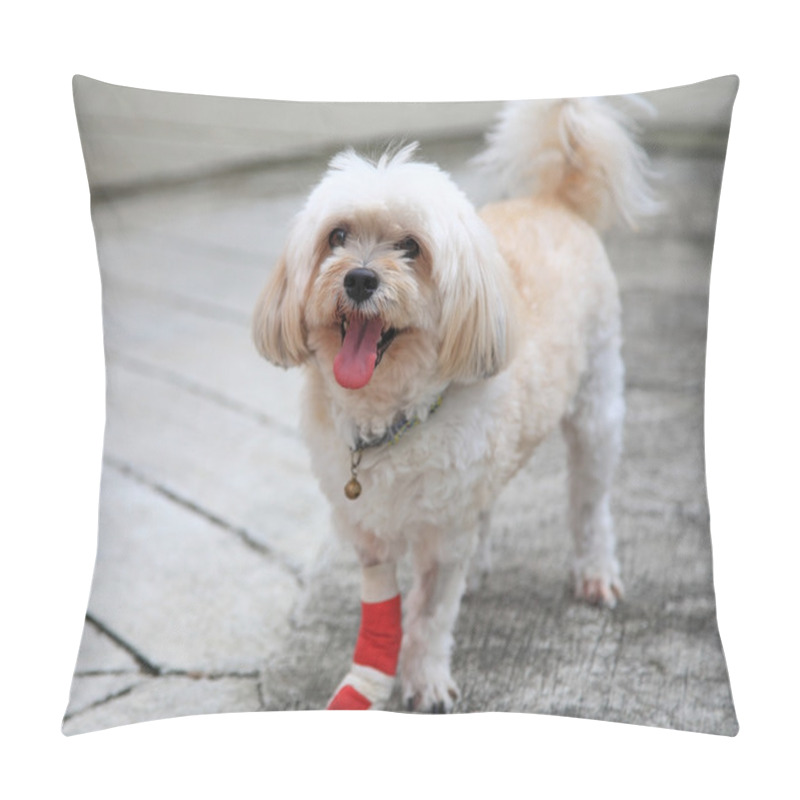 Personality  Injured Shih Tzu Pillow Covers