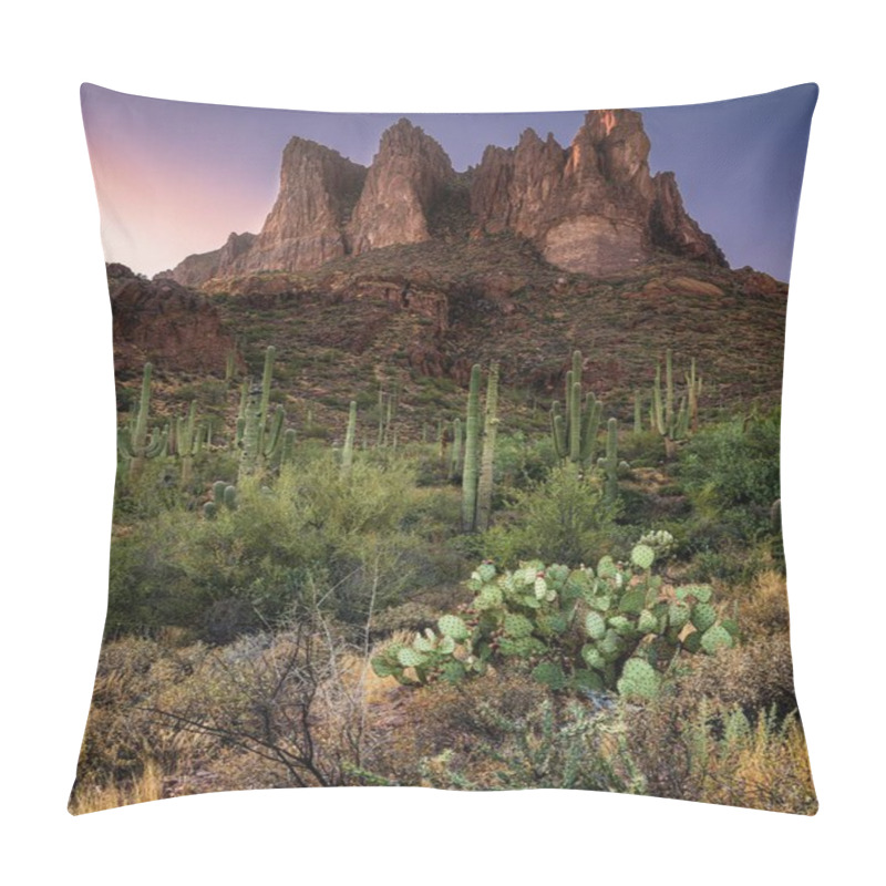 Personality  A Vertical Shot Of Cactus Plants In A Grassy Field With High Rock Formations In The Background Pillow Covers