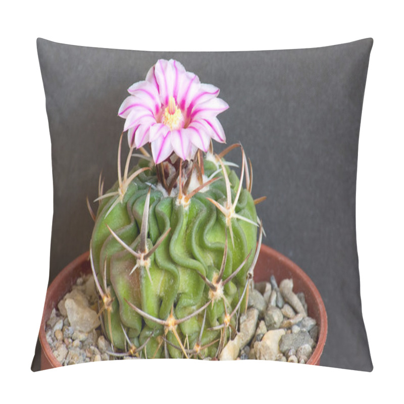 Personality  Blooming Cactus Pillow Covers