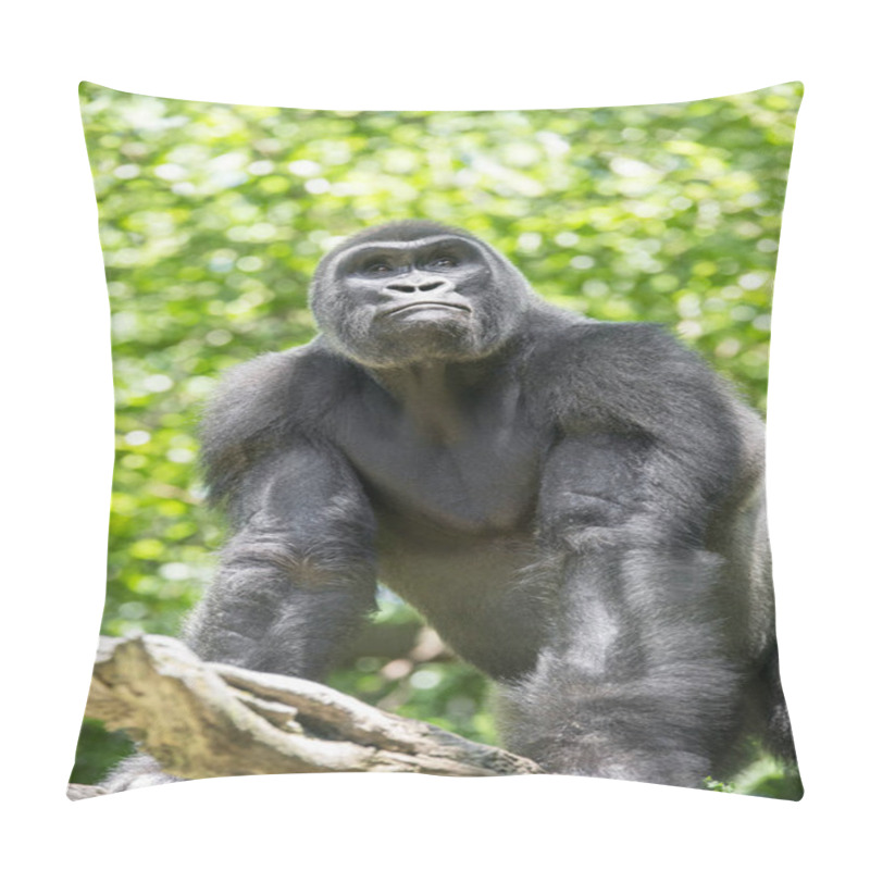 Personality  Typical Western Lowland Gorilla Among Leafy Trees.  Pillow Covers