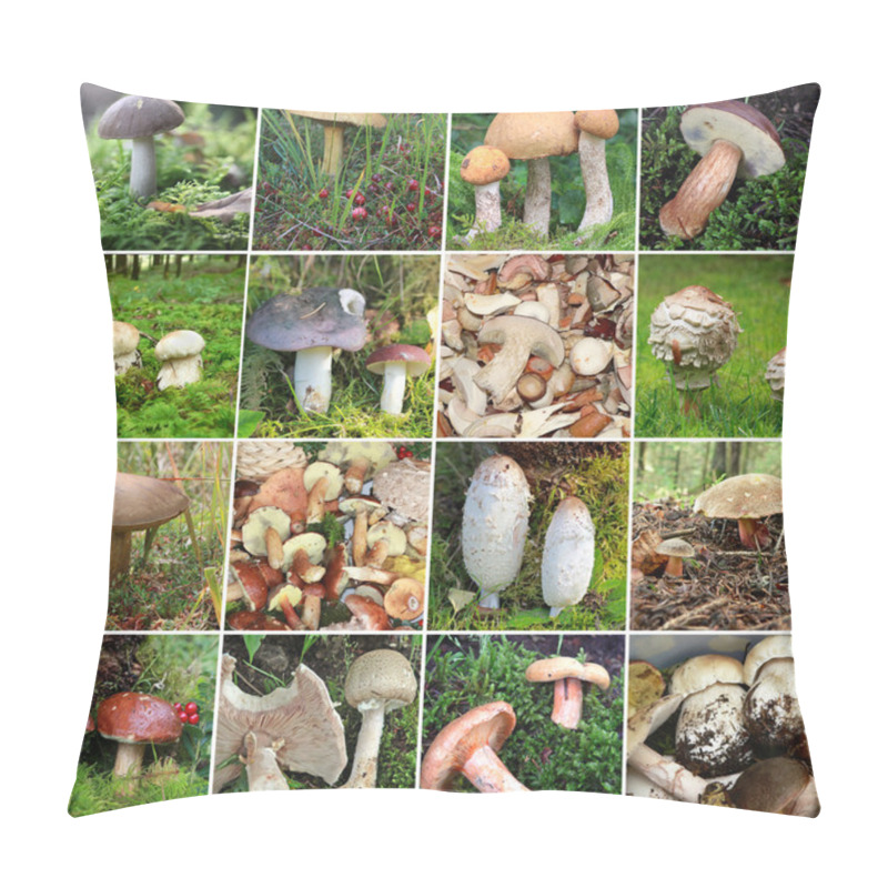 Personality  Collection Of Wild Edible Mushrooms  Pillow Covers