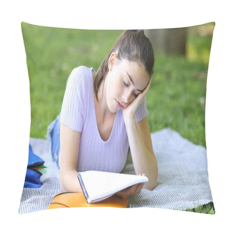 Personality  Asleep Student Trying To Memorize Notes Lying On The Grass In A Park Or Campus Pillow Covers