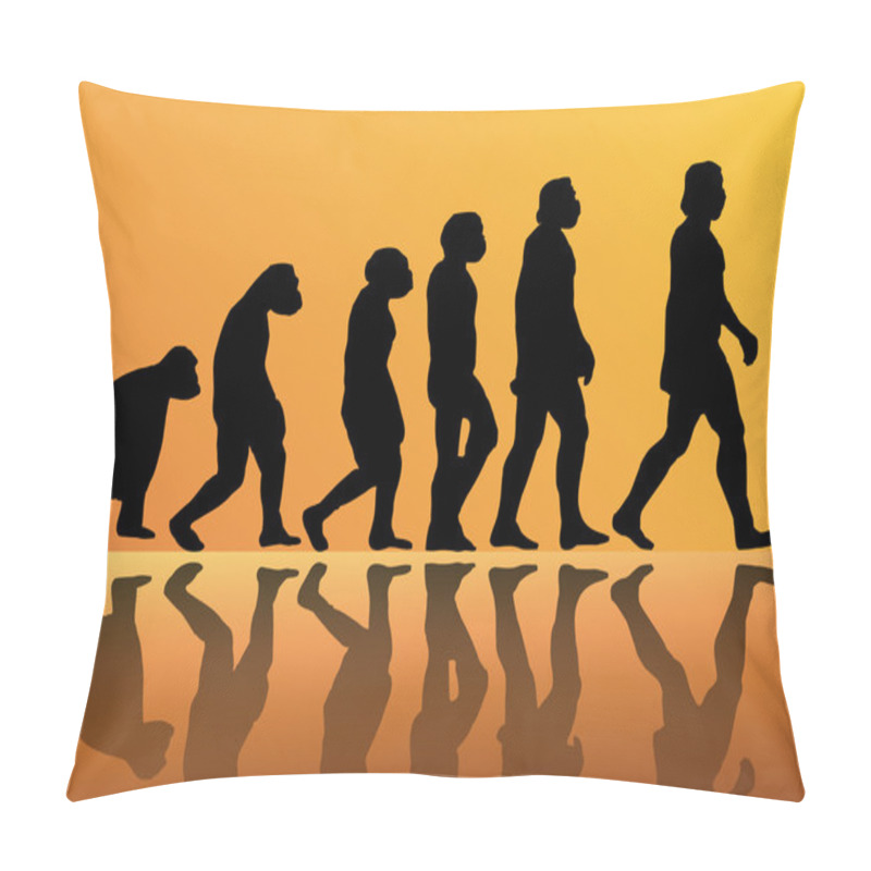 Personality  Evolution Of Man Pillow Covers